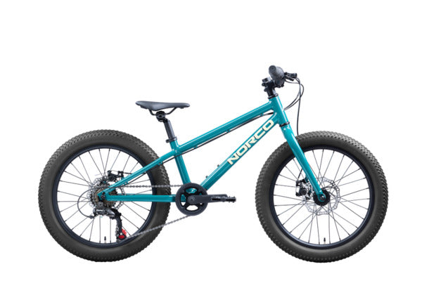 Norco Storm 20 Green